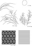 日本线描植物花卉矢量素材
