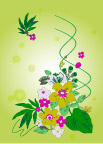 花纹