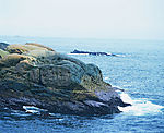 海景