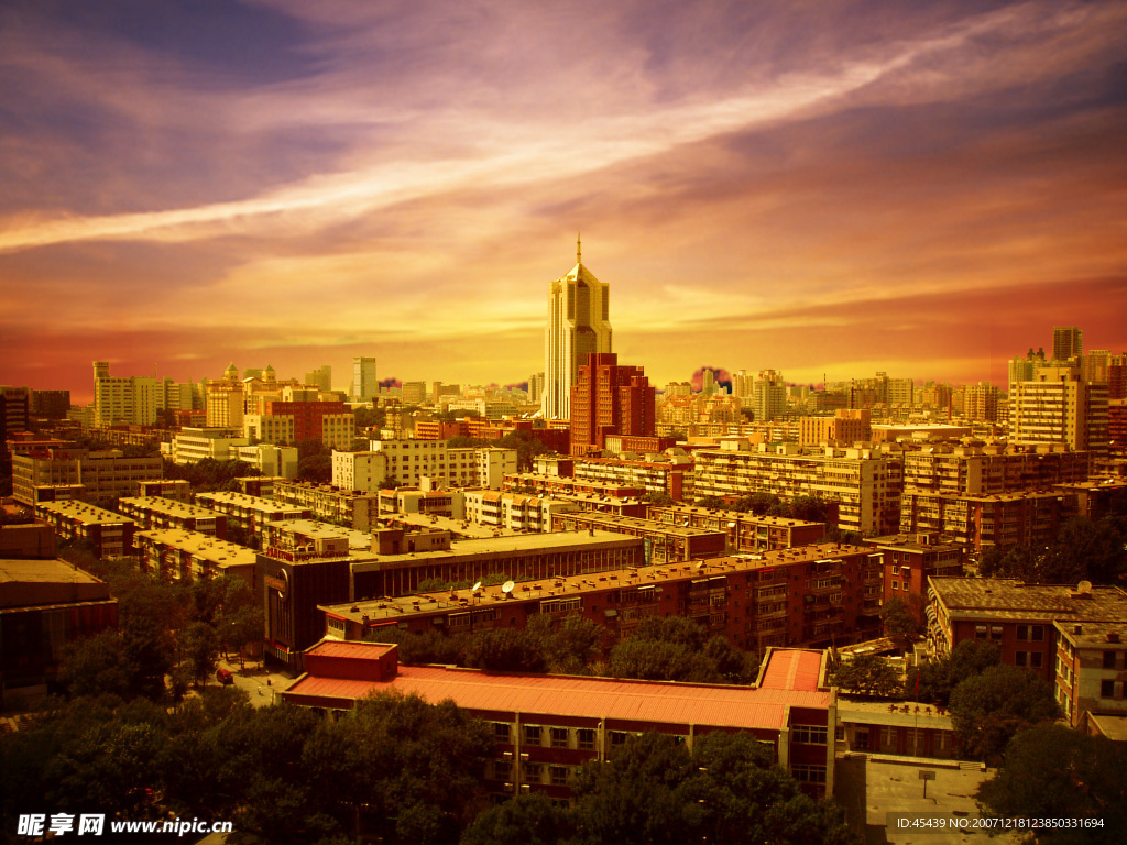 城市
