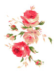 精美花纹模板
