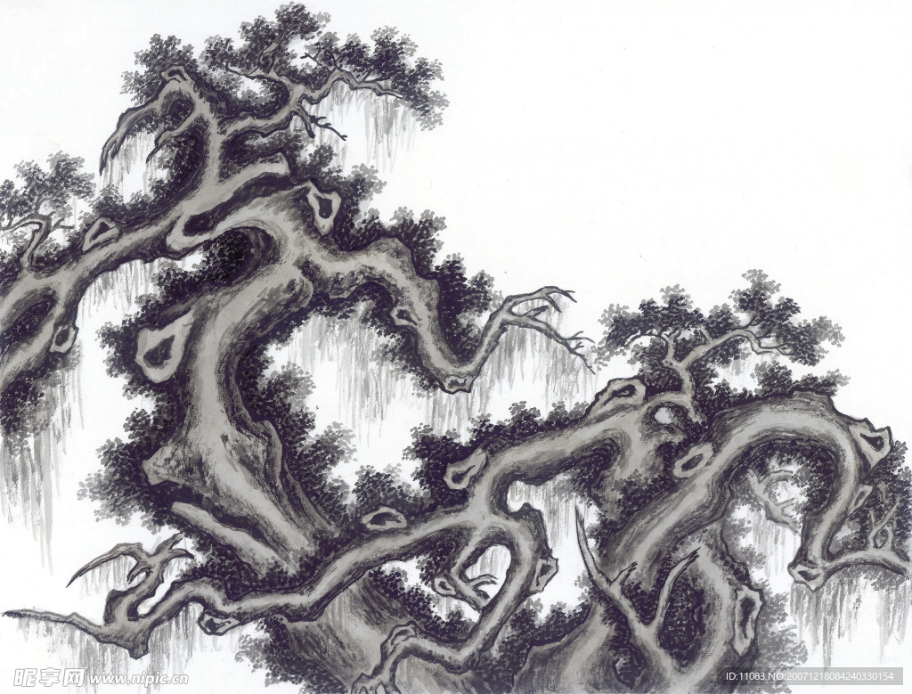 古树奇石