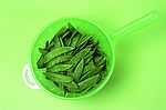豆芽