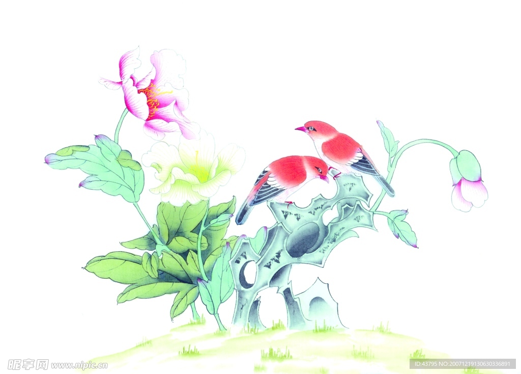 荷叶