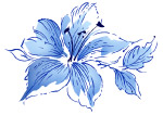 花花