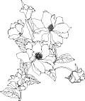 韩国矢量花边花纹底纹背景大全