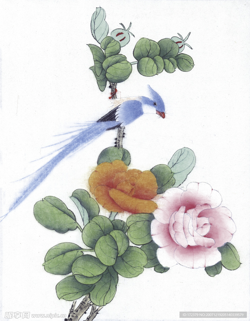 彩绘花卉鸟类图