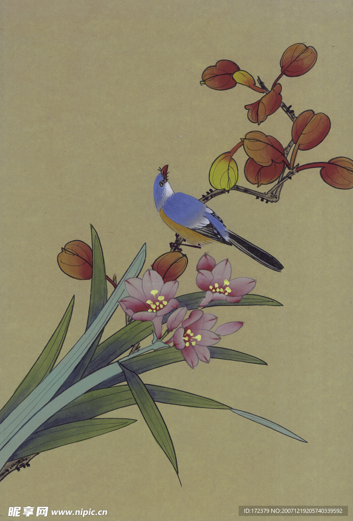 彩绘花卉鸟类图