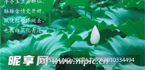 荷花