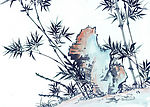 风竹