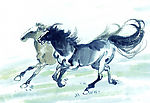 生肖 马