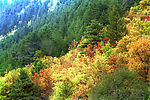 九寨沟风景（朋友拍摄）