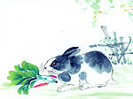 生肖 兔子