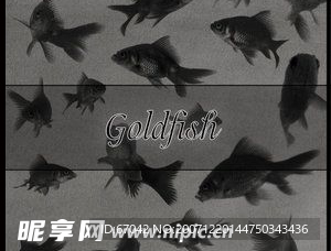 金鱼笔刷