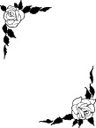 时尚花边