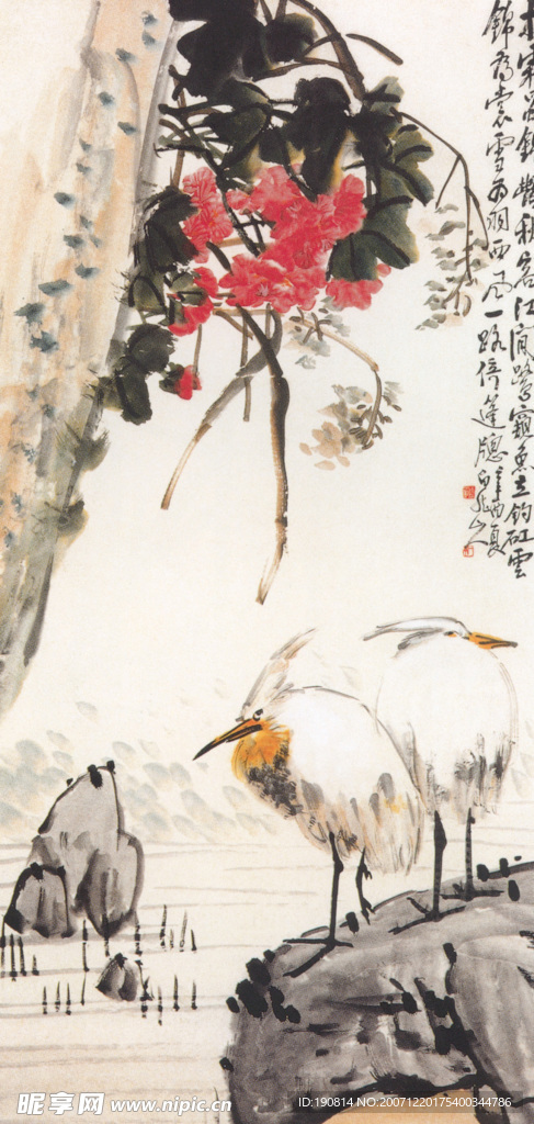 芙蓉双鹭 图