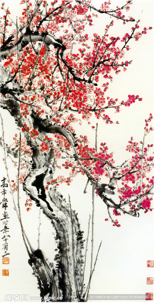 红梅  图