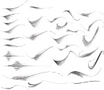 时尚花边