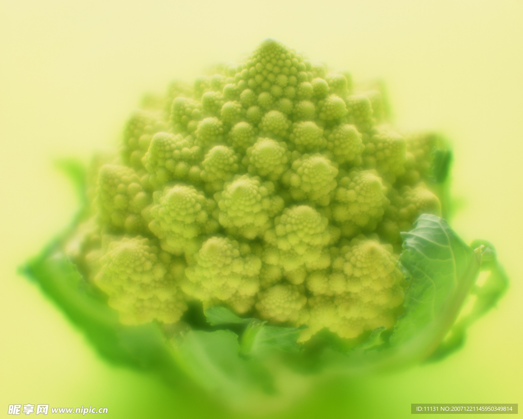 蔬菜瓜果