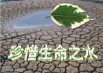 珍惜生命之水