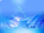 不错的背景