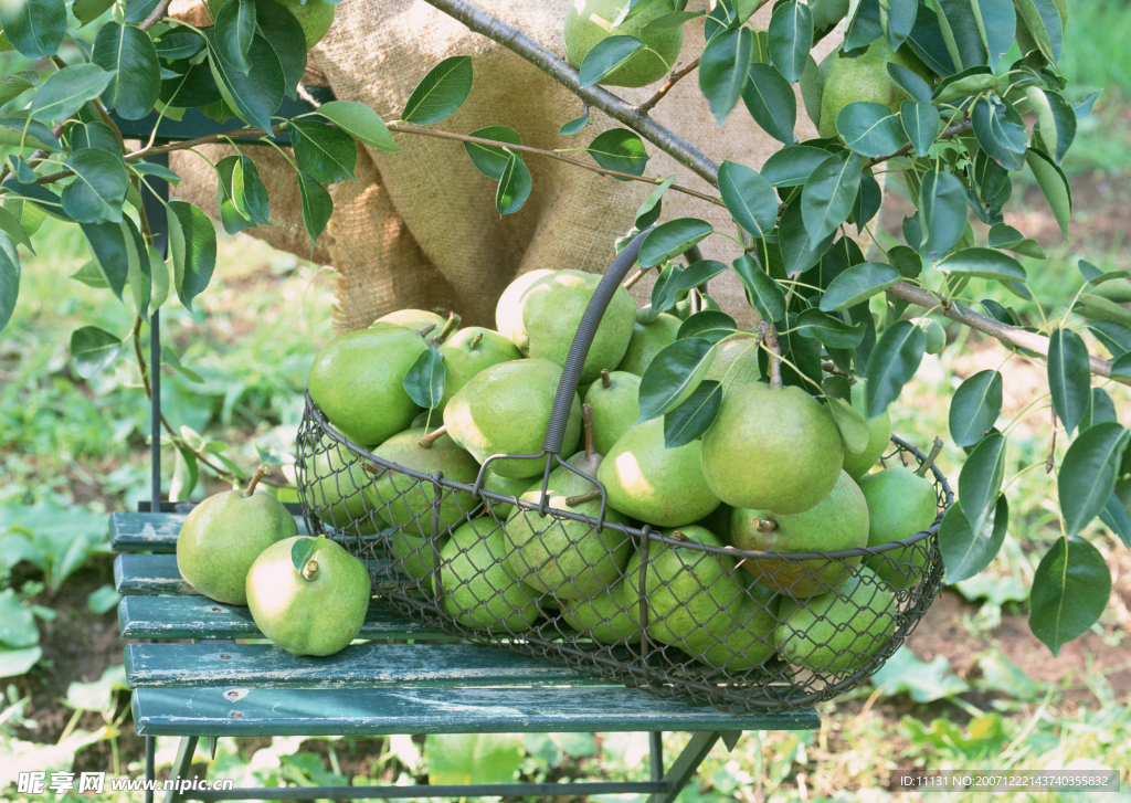 蔬菜瓜果