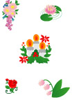 几朵美丽的花儿