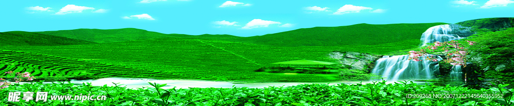 茶山