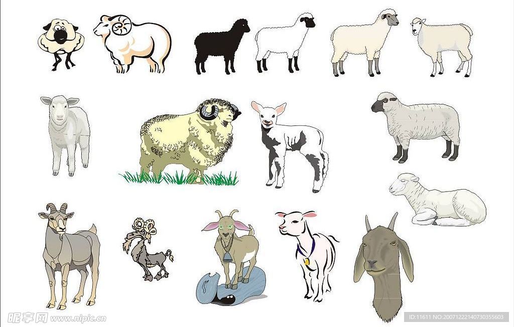 精选CorelDARW矢量图—家畜(羊)