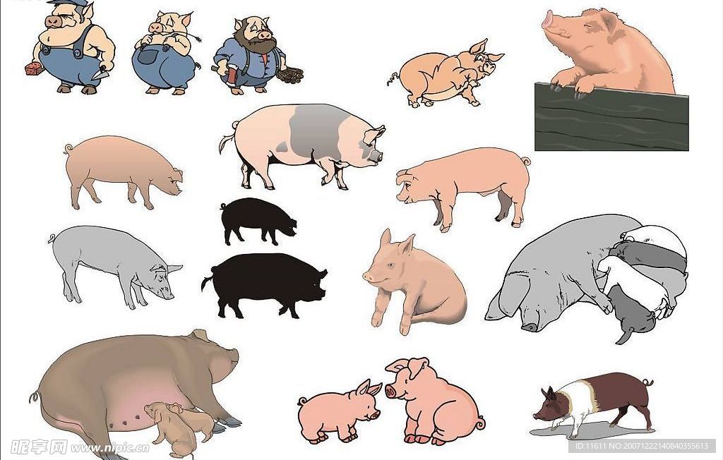 精选CorelDARW矢量图—家畜(猪)
