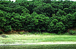 自然风景1