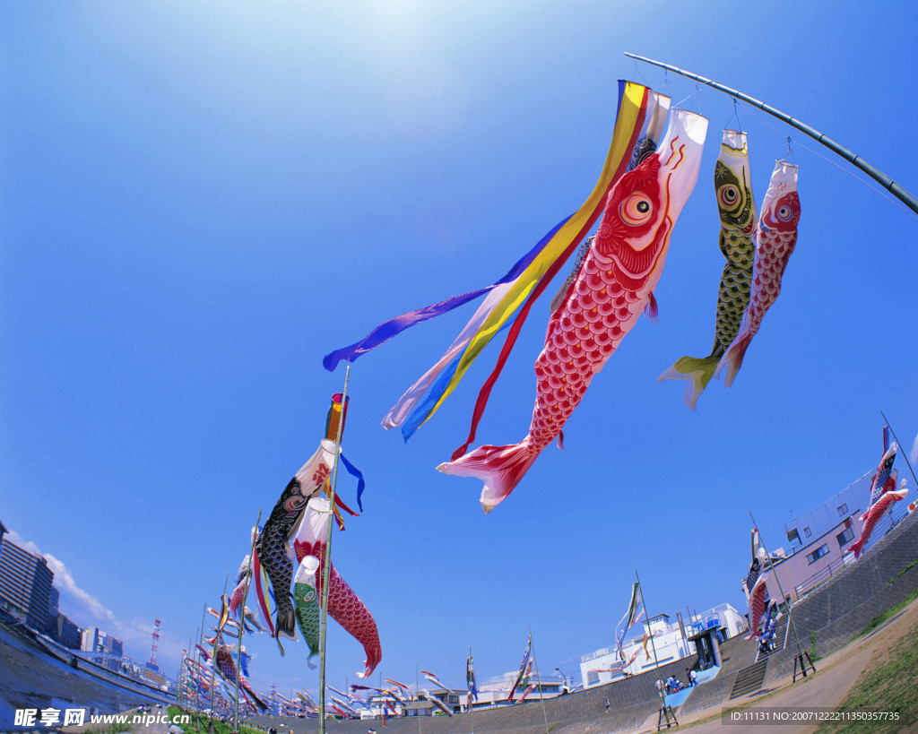 四季剪影