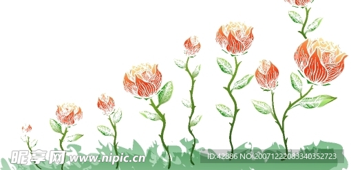 精品矢量花纹19