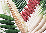 蔬菜瓜果