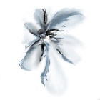 水墨花纹