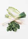 蔬菜瓜果