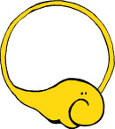 素材 花