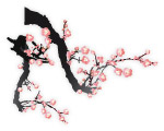 梅花