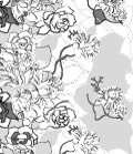 花边
