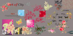 花朵图案