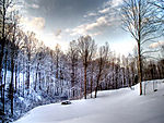 白色冬季 美丽雪景