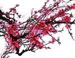 矢量国画梅花