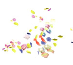 花瓣