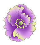 玫瑰花