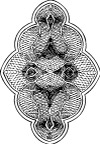 证书花纹