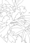 牡丹线稿图矢量素材
