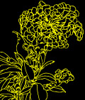 白描花边