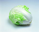 大白菜