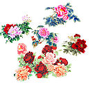 精美牡丹花