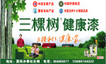 车身